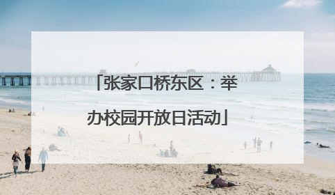 张家口桥东区：举办校园开放日活动