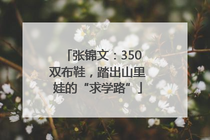 张锦文：350双布鞋，踏出山里娃的“求学路”