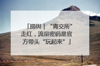 捞舆｜“青交所”走红，流量密码是官方带头“玩起来”