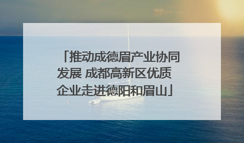 推动成德眉产业协同发展 成都高新区优质企业走进德阳和眉山