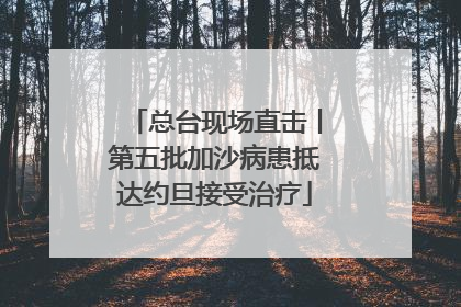 总台现场直击丨第五批加沙病患抵达约旦接受治疗