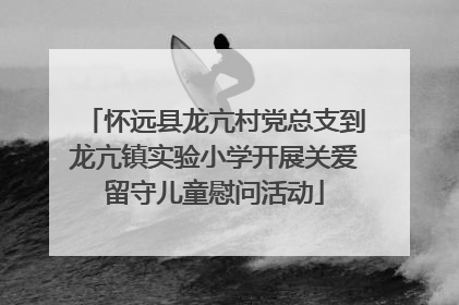 怀远县龙亢村党总支到龙亢镇实验小学开展关爱留守儿童慰问活动