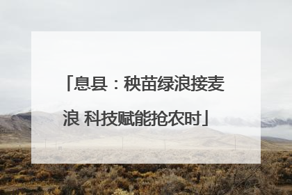 息县：秧苗绿浪接麦浪 科技赋能抢农时