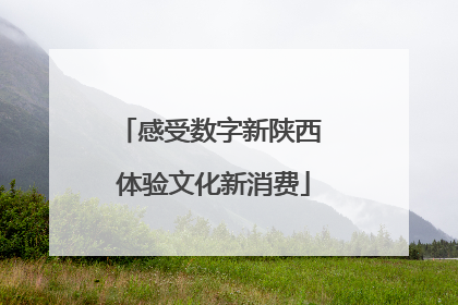 感受数字新陕西 体验文化新消费