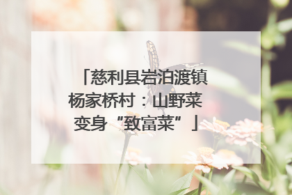 慈利县岩泊渡镇杨家桥村：山野菜变身“致富菜”