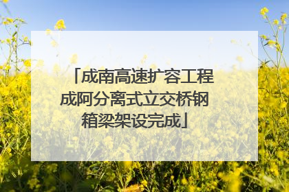 成南高速扩容工程成阿分离式立交桥钢箱梁架设完成