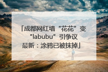 成都网红墙“花花”变“labubu”引争议 最新：涂鸦已被抹掉