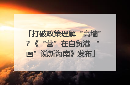 打破政策理解“高墙”？《“营”在自贸港 “画”说新海南》发布
