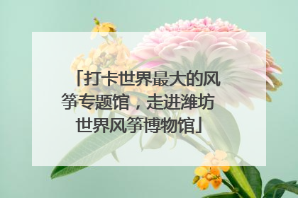 打卡世界最大的风筝专题馆，走进潍坊世界风筝博物馆