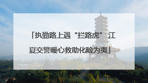 执勤路上遇“拦路虎” 江夏交警暖心救助化险为夷