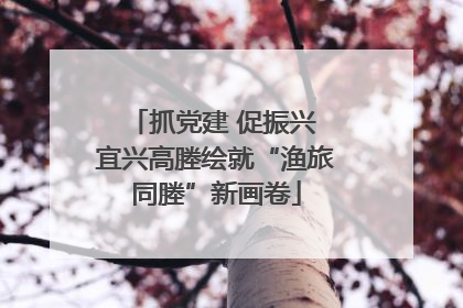 抓党建 促振兴 宜兴高塍绘就“渔旅同塍”新画卷
