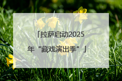 拉萨启动2025年“藏戏演出季”
