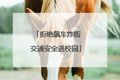 拒绝飙车炸街 交通安全进校园