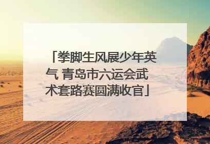 拳脚生风展少年英气 青岛市六运会武术套路赛圆满收官