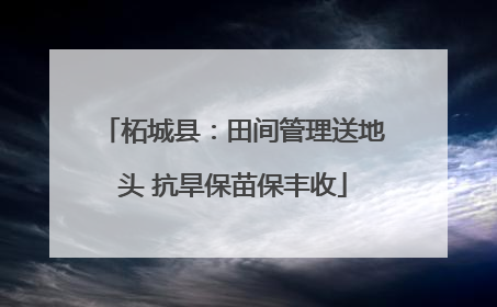 柘城县：田间管理送地头 抗旱保苗保丰收