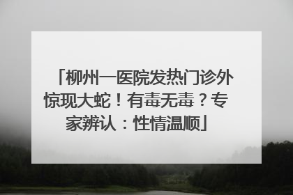 柳州一医院发热门诊外惊现大蛇！有毒无毒？专家辨认：性情温顺