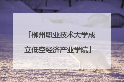 柳州职业技术大学成立低空经济产业学院
