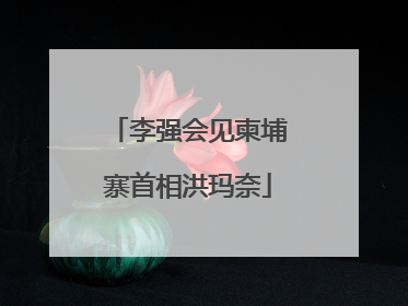 李强会见柬埔寨首相洪玛奈