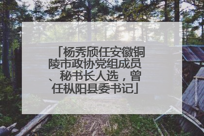 杨秀颀任安徽铜陵市政协党组成员、秘书长人选，曾任枞阳县委书记
