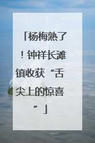 杨梅熟了！钟祥长滩镇收获“舌尖上的惊喜”