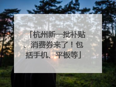 杭州新一批补贴、消费券来了！包括手机、平板等