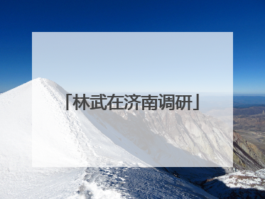 林武在济南调研