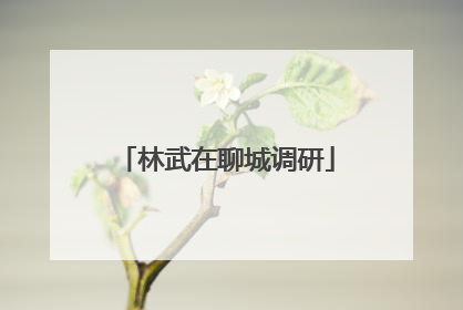林武在聊城调研