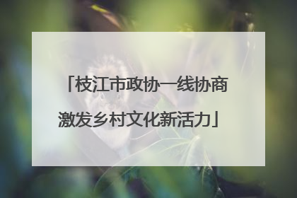 枝江市政协一线协商激发乡村文化新活力