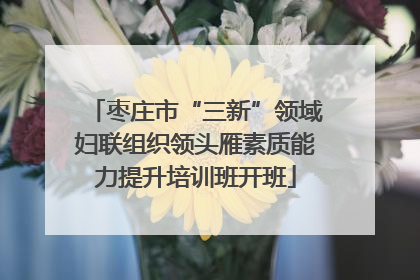 枣庄市“三新”领域妇联组织领头雁素质能力提升培训班开班