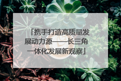 携手打造高质量发展动力源——长三角一体化发展新观察