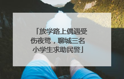 放学路上偶遇受伤夜鹭，聊城三名小学生求助民警