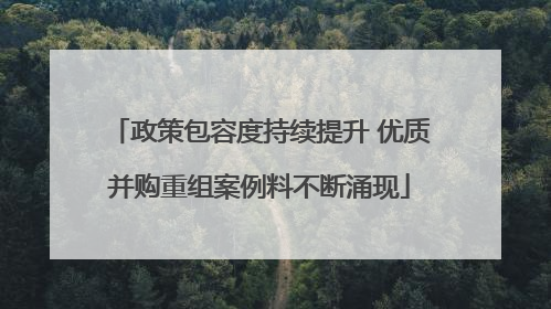 政策包容度持续提升 优质并购重组案例料不断涌现