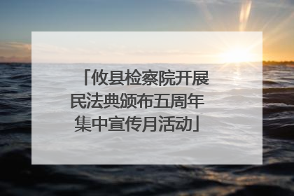 攸县检察院开展民法典颁布五周年集中宣传月活动