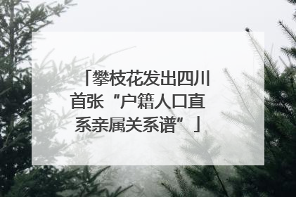 攀枝花发出四川首张“户籍人口直系亲属关系谱”
