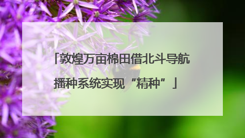 敦煌万亩棉田借北斗导航播种系统实现“精种”