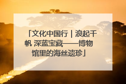 文化中国行｜浪起千帆 深蓝宝藏——博物馆里的海丝遗珍