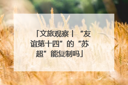 文旅观察丨“友谊第十四”的“苏超”能复制吗