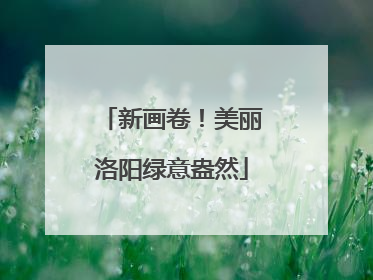 新画卷！美丽洛阳绿意盎然