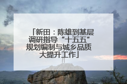 新田：陈雄到基层调研指导“十五五”规划编制与城乡品质大提升工作