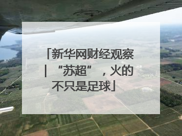 新华网财经观察｜“苏超”，火的不只是足球