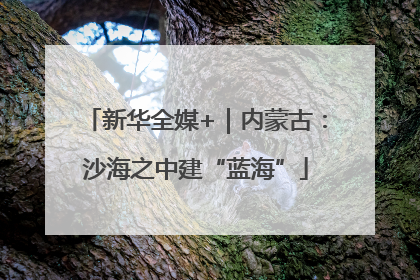 新华全媒+｜内蒙古：沙海之中建“蓝海”