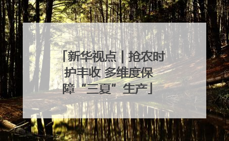 新华视点｜抢农时 护丰收 多维度保障“三夏”生产