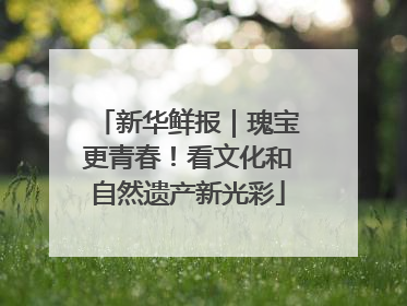 新华鲜报｜瑰宝更青春！看文化和自然遗产新光彩