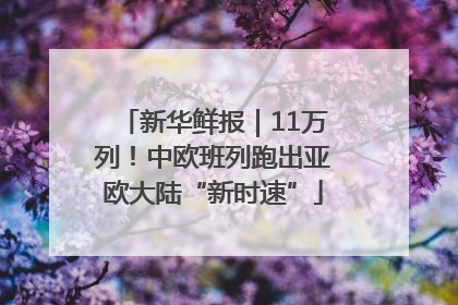 新华鲜报｜11万列！中欧班列跑出亚欧大陆“新时速”