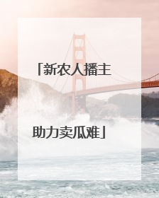 新农人播主 助力卖瓜难