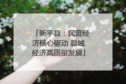 新平县：民营经济核心驱动 县域经济高质量发展