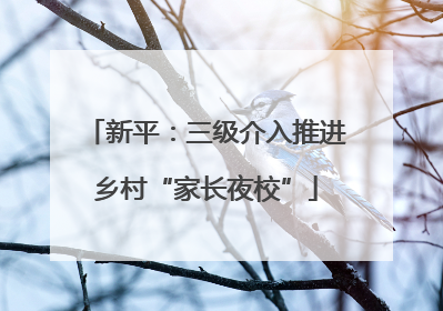 新平：三级介入推进乡村“家长夜校”