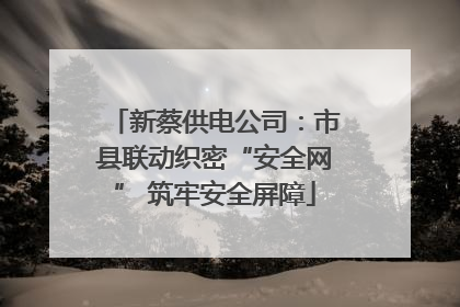 新蔡供电公司：市县联动织密“安全网” 筑牢安全屏障