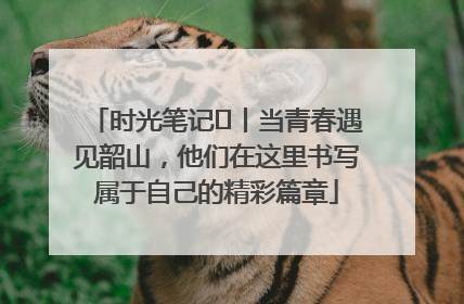 时光笔记⑪丨当青春遇见韶山，他们在这里书写属于自己的精彩篇章
