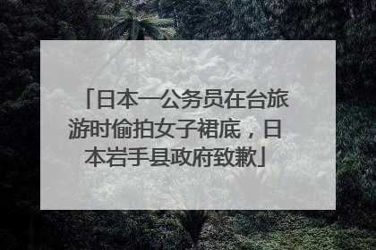 日本一公务员在台旅游时偷拍女子裙底，日本岩手县政府致歉